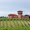 Highfield Estate Winery