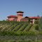 Highfield winery, Blenheim , Marlborough