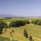 Wairau Valley - Overlooking the Wairau Valley vineyards from the tower at the Highfield Estate Winery near Renwick.
