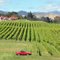 Highfield Estate Winery, Blenheim, New Zealand with dry hill in the background,