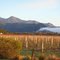Vinters Retreat