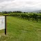 French Vigneron !