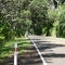 Coast road to Opotiki