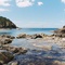 Paradise found