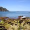 East Coast, Great Barrier Island