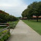 Crepe Myrtle Lane
