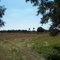 Field