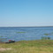 Lake Lochloosa, Burnt Island park