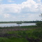 Orange Creek Restoration Area