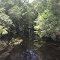 Lochloosa Creek