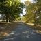 Wallingford Drive