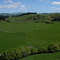 Wallingford Farm