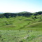 Lush green farm country