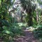 Boyd Hill Park@HH