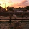 Sunset FL