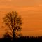 Southbrook Park Sunset #3