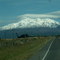 PICT0545