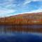 Remarkable Orchard, Roxburgh
