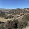 Roxburgh Gorge trail, Mt Benger section