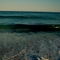 FT. LAUDERDALE BEACH