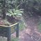 Karangahake Mountain - Trig Track