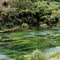 Te Waihou River