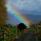 Rainbow on the Rail Trail