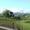 Kaimai Ranges