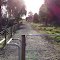 Rail Trail