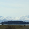 Small Island on Lake Tekapo