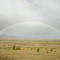 Tekapo River and Rainbow