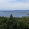 1198 Lake Taupo as seen from near Pukawa