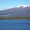 Island in Lake Rotoaira