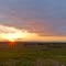 Harvest Sunset