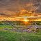Legacy Sunset