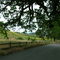 Chesebro in the Spring
