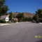 buttonwood avenue