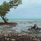 off bridge of deer island florida keys