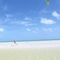 Hammock Sandbar