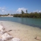 Curry Hammock State Park 2