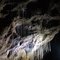 Glowworms nests in Ruakuri cave