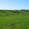 Pasturelands between Waitomo and Rotorua