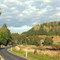 Waitomo Caves Road