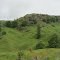 Waitono Caves Rd, North Island