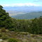 Kepler track - reaching forest level above Brod Bay