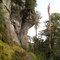Kepler track - Limestone Bluffs