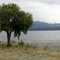 Lake Te Anau beach on cloudy day panorama