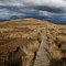 Kepler Track