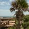 Canaveral National Seashore