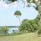 Mosquito Lagoon. Eldora, Florida  (10-22-2006)